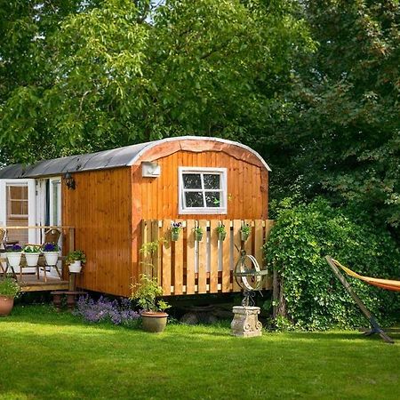 B&B Hetvrijdagsgevoel Sneek Ngoại thất bức ảnh