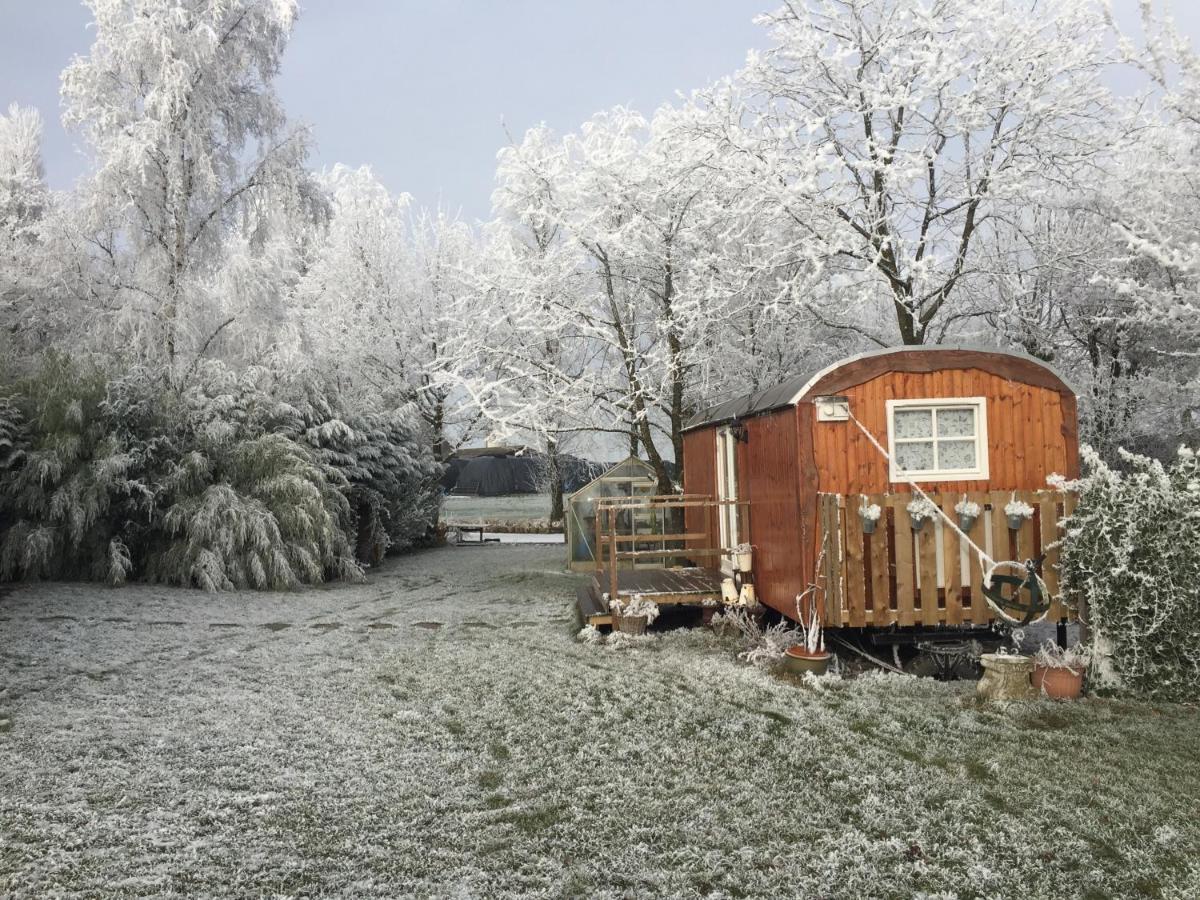 B&B Hetvrijdagsgevoel Sneek Ngoại thất bức ảnh